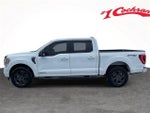 2023 F-150 Thumbnail 6