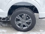 2023 F-150 Thumbnail 13