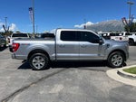 2023 F-150 Thumbnail 5