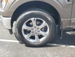 2023 F-150 Thumbnail 5