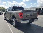 2023 F-150 Thumbnail 7