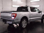2023 F-150 Thumbnail 9