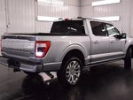 2023 F-150 Thumbnail 9