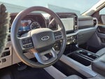 2023 F-150 Thumbnail 13