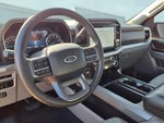 2023 F-150 Thumbnail 14