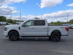 2023 F-150 Thumbnail 4