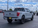 2023 F-150 Thumbnail 7