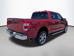 2023 F-150 Thumbnail 5