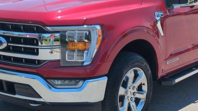 2023 Ford F-150 Limited