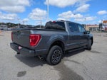 2023 F-150 Thumbnail 8