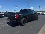 2023 F-150 Thumbnail 7