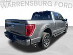 2023 F-150 Thumbnail 7