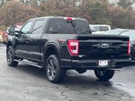 2023 F-150 Thumbnail 16