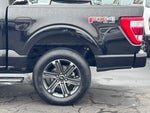 2023 F-150 Thumbnail 44