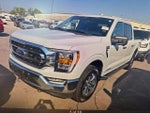 2023 F-150 Thumbnail 14