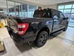 2023 F-150 Thumbnail 3