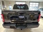 2023 F-150 Thumbnail 4