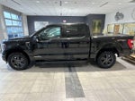 2023 F-150 Thumbnail 6