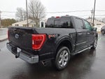 2023 F-150 Thumbnail 5