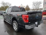 2023 F-150 Thumbnail 7