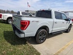 2023 F-150 Thumbnail 3