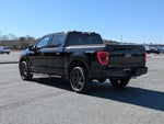 2023 F-150 Thumbnail 6