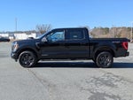 2023 F-150 Thumbnail 7