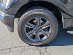 2023 F-150 Thumbnail 11