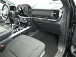 2023 F-150 Thumbnail 29