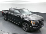 2023 F-150 Thumbnail 45
