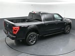 2023 F-150 Thumbnail 51
