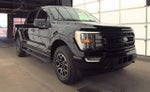 2023 F-150 Thumbnail 4
