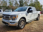 2023 F-150 Thumbnail 4