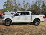 2023 F-150 Thumbnail 5