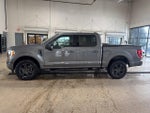 2023 F-150 Thumbnail 6