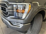 2023 F-150 Thumbnail 18