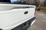 2023 F-150 Thumbnail 7