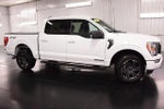 2023 F-150 Thumbnail 10