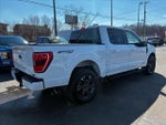 2023 F-150 Thumbnail 4