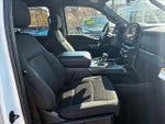 2023 F-150 Thumbnail 17