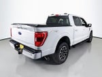 2023 F-150 Thumbnail 7