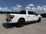 2021 F-150 Thumbnail 2