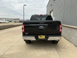 2021 F-150 Thumbnail 5