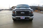 2021 F-150 Thumbnail 2
