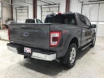 2021 F-150 Thumbnail 4
