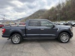 2021 F-150 Thumbnail 3