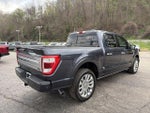 2021 F-150 Thumbnail 4