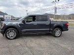 2021 F-150 Thumbnail 8