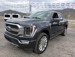 2021 F-150 Thumbnail 10
