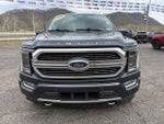 2021 F-150 Thumbnail 11